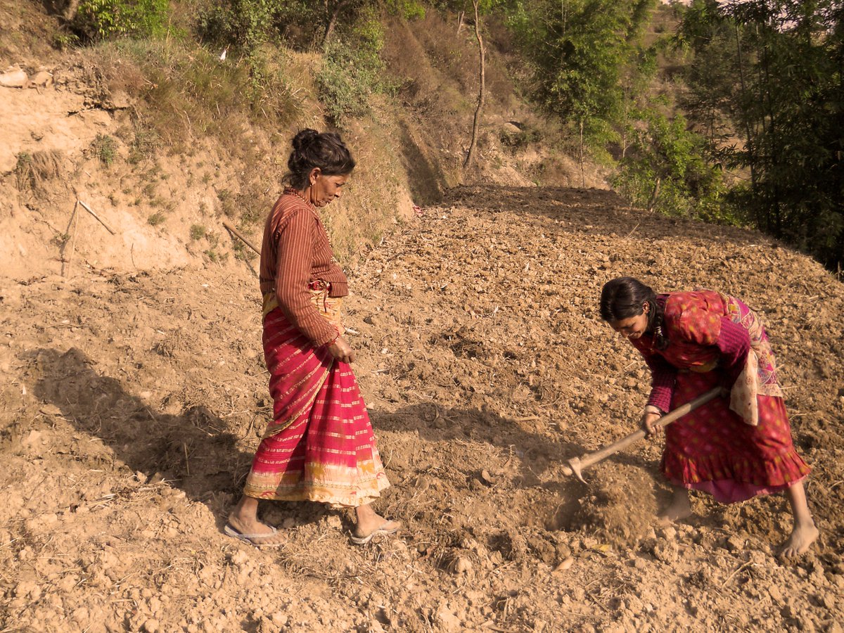 Healthy soils contribute to resilient food production goo.gl/TdRZSp

#agroecology #foodsecurity #HugerZero