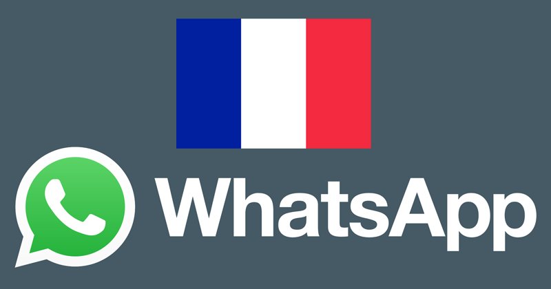 icodebreakers1's tweet image. France Is Creating Its Own WhatsApp

View &amp;gt;&amp;gt; techviral.net/france-creatin…

#France #WhatsApp #Francetech #Francecommunication #TechNews #Internetviolations