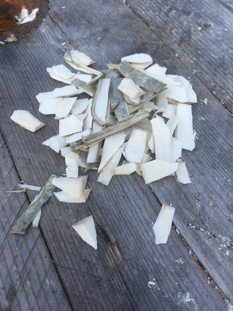 LlanyPrimary's tweet photo. Y4 Forest Schoolers 'Den Building' session. Some of the best we've had. Some whittling too. #forestschools #cyfleon #outdoorlearningwales https://t.co/ZcdEXvew4w