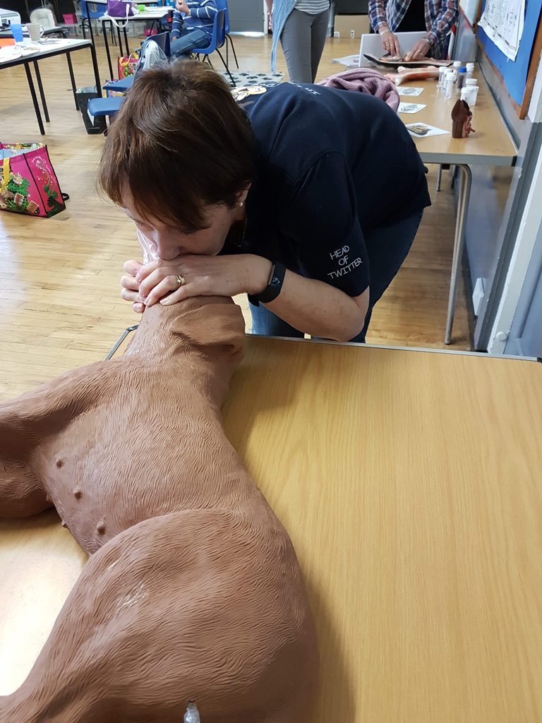 TrudiMCameron's tweet photo. Learned some vital skills yesterday as well as having fun. Fin was a very good patient. Hope I never have to use the skills though @line_training #dogfirstaid #caninefirstaid #weimeraners https://t.co/U09PwYMcNQ