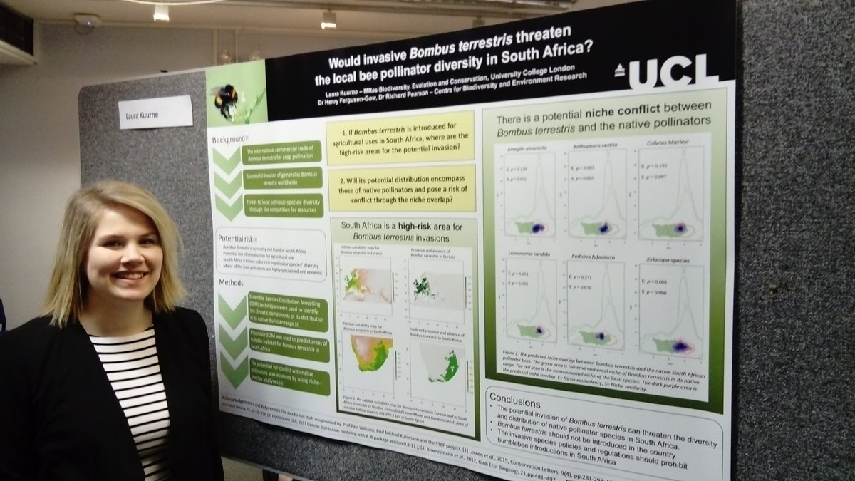 LauraSaara's tweet photo. Would invasive Bombus terrestris threaten the local bee pollinator diversity in South Africa? Yes it would! @MResBEC @UCLCBER #posterpresentation #conservation #Bumblebee #invasivespecies https://t.co/PkOUVjRDwh