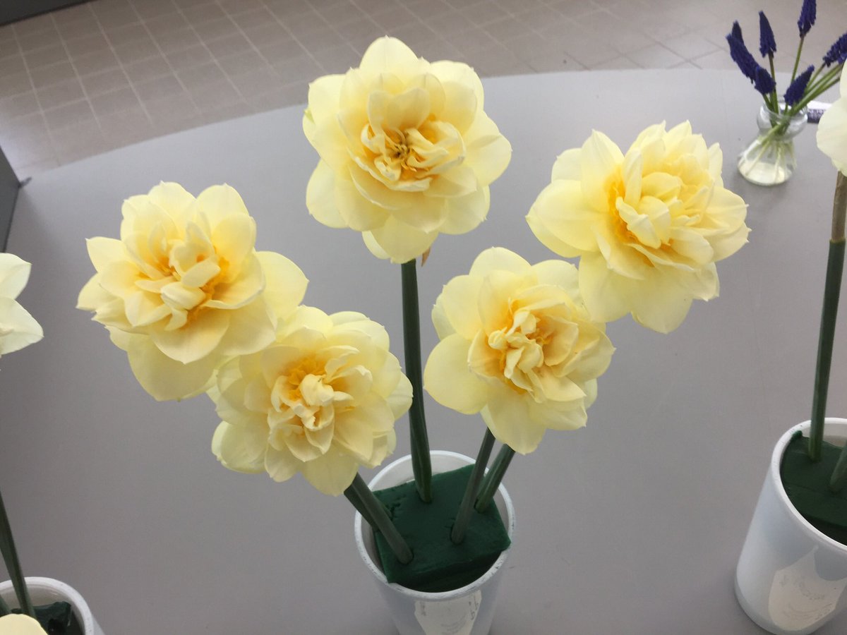 Manly van P. Pennings Bloembollen werd de beste vaas op de narcissenkeuring vandaag bij KAVB in het CNB in Lisse