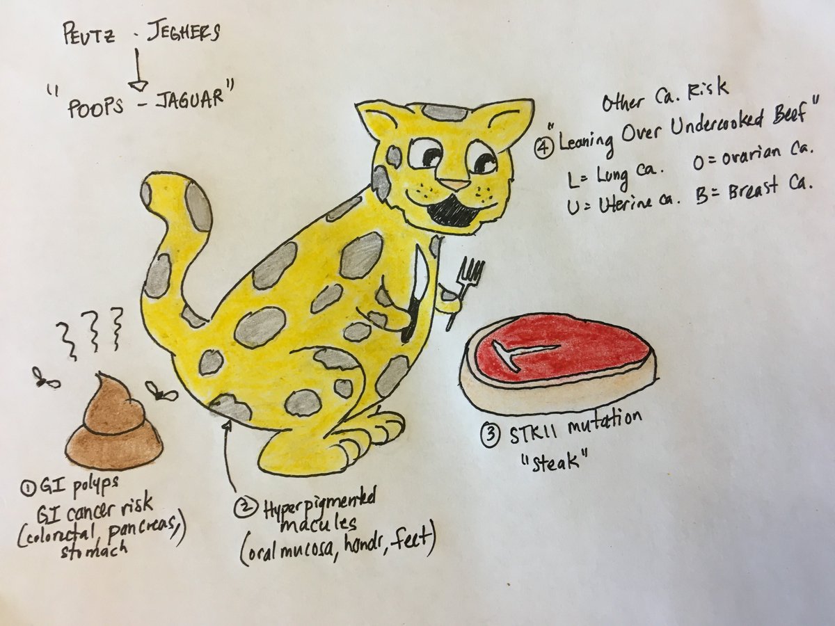 Rad Onc Mnemonics tweet media