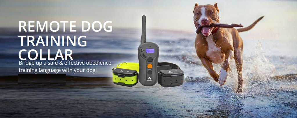 mrpetlover's tweet image. Best Dog Training Collars for sale. Get more info bit.ly/2H2iM8o
#Dogstraining #Shockcollars #petsupplies #petscollars