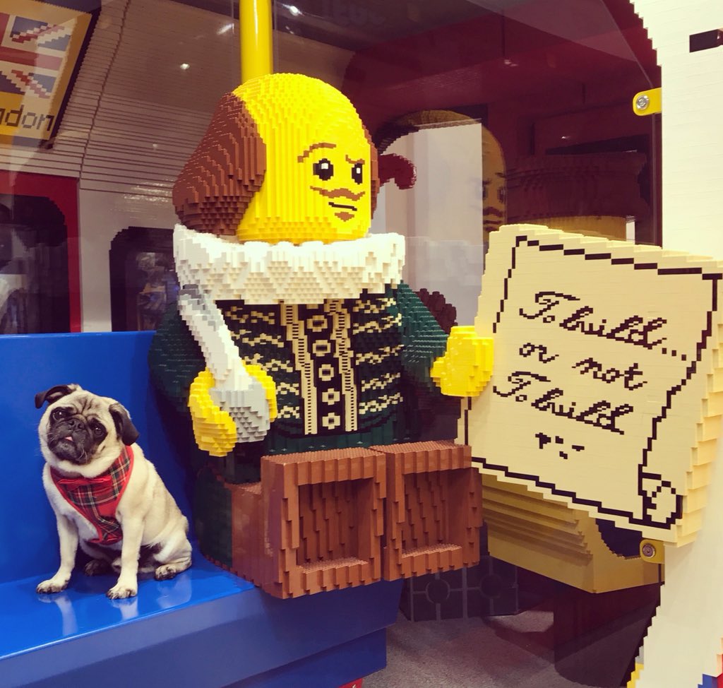 DougPugTherapy's tweet photo. To build, or not to build ... It’s Shakespeare’s birthday today! 📚📝📚 #shakespeare #shakespearesbirthday #williamshakespeare #lego #tobuildornottobuild #leicestersquare https://t.co/qCGuibQ4O3