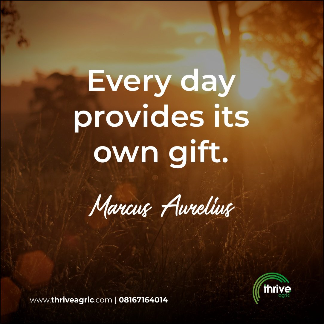 thriveagric's tweet photo. Lets get started #workmoodactivated.

#MondayMotivaton 
#thriveagric #farm https://t.co/gd5r4MGuKk