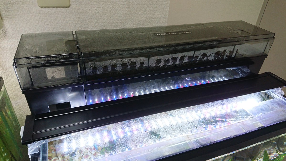 Mamoru A Twitteren 上部フィルターのデュアルクリーン600sp 追加濾過槽のフォルム お気に入りです ドライ濾過槽 で酸素を取り込み ウェット ドライ濾過で手軽に濾過能力アップを実感です 熱帯魚 Mamoru A Twitteren 上部フィルターのデュアルクリーン600sp 追加濾過槽のフォルム お気に入りです ドライ濾過槽 で酸素を取り込み ウェット ドライ濾過で手軽に濾過能力アップを実感です 熱帯魚