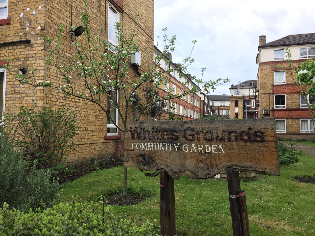 Does feel like  #MondayMadness doing many projects in one day!
#apiary #inspection #churchgrounds handover #communitygarden #espalier #orchards one of my #colonies #apismellifera trying to follow me home to do admin #MondayMotivations 😊🐝🚶🏾‍♀️🌳