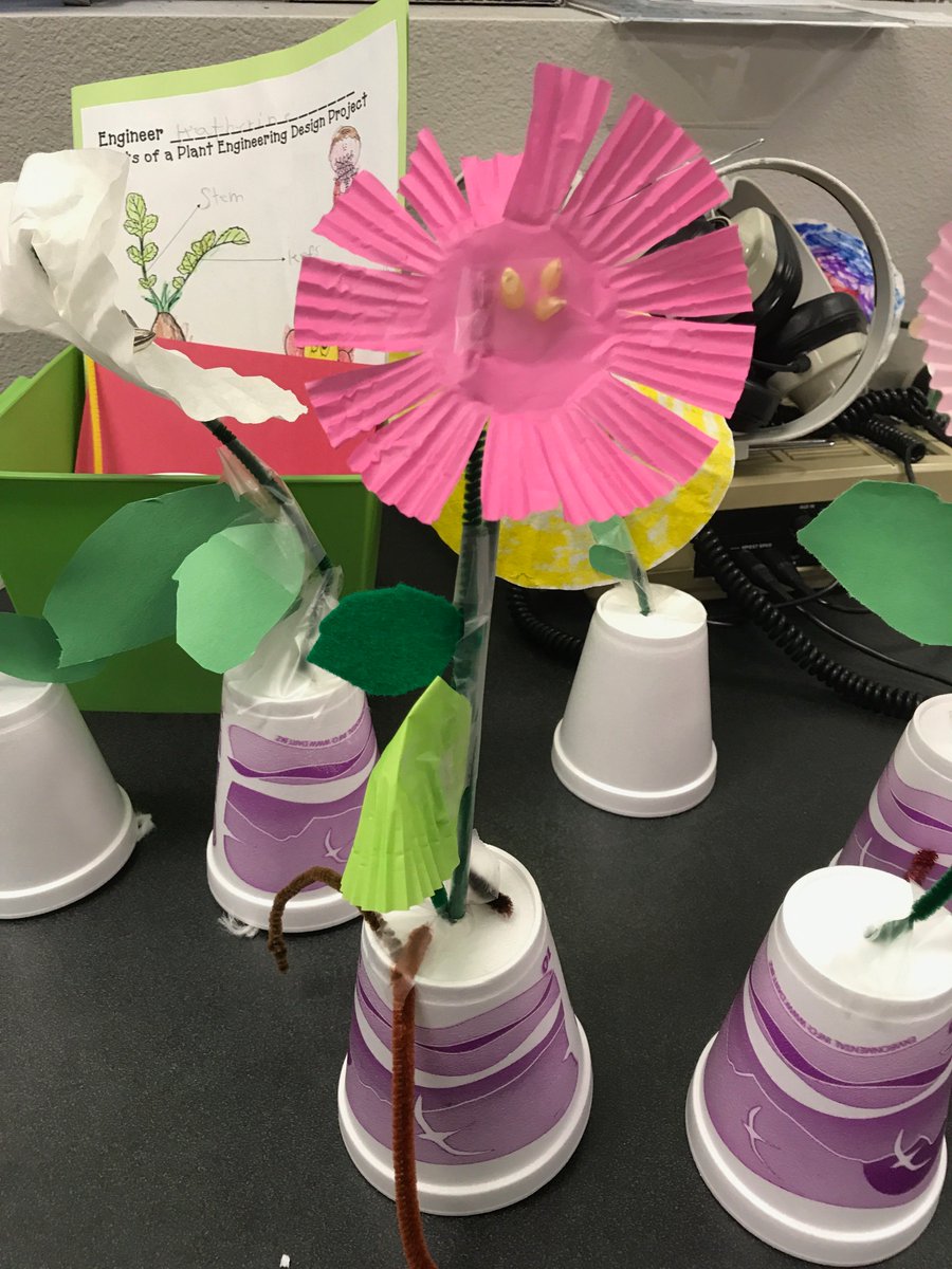 hamiltonengtech's tweet photo. All the flowers of all the tomorrows are in the seeds of today~ Chinese Proverb. First grade Innovators engineer 3D models of flowers utilizing the engineering design process. We are growing #futureengineeers https://t.co/rg4JKESPqR