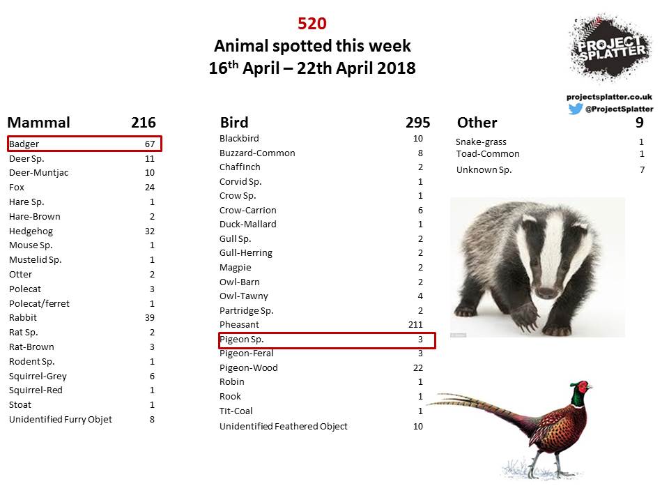 The Road Lab tweet media