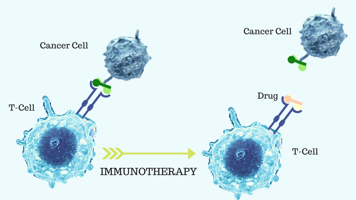 CCTreatment's tweet photo. The #CCTreatment developer is supporting extremely promising #research focused on developing and commercializing innovative #immunotherapy technology in the United States and in international markets: https://t.co/mtWwl64bUv #natural #treatment #alternative #immunesystem https://t.co/jQ5wbxoyZy