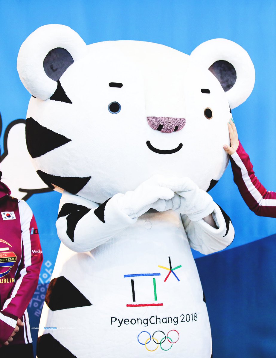 180423 평창올림픽 자원봉사자 해단식
수호랑 #수호랑 우리랑 오랜만 💕