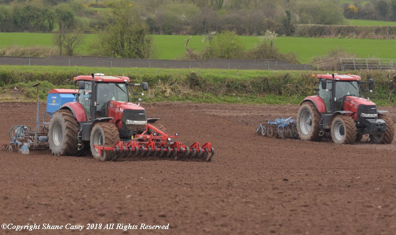 sgcaseyck25's tweet photo. #SpringSowing2018 A smash and grab sowing operation is what Im describing this years season. With the time slipping on and the weather doing no one any favours any dry spell is being used to get #SpringBarley drilled @CaseIH_UK_IRE @Heva_UK #Lemken https://t.co/6gR8HWrTlW