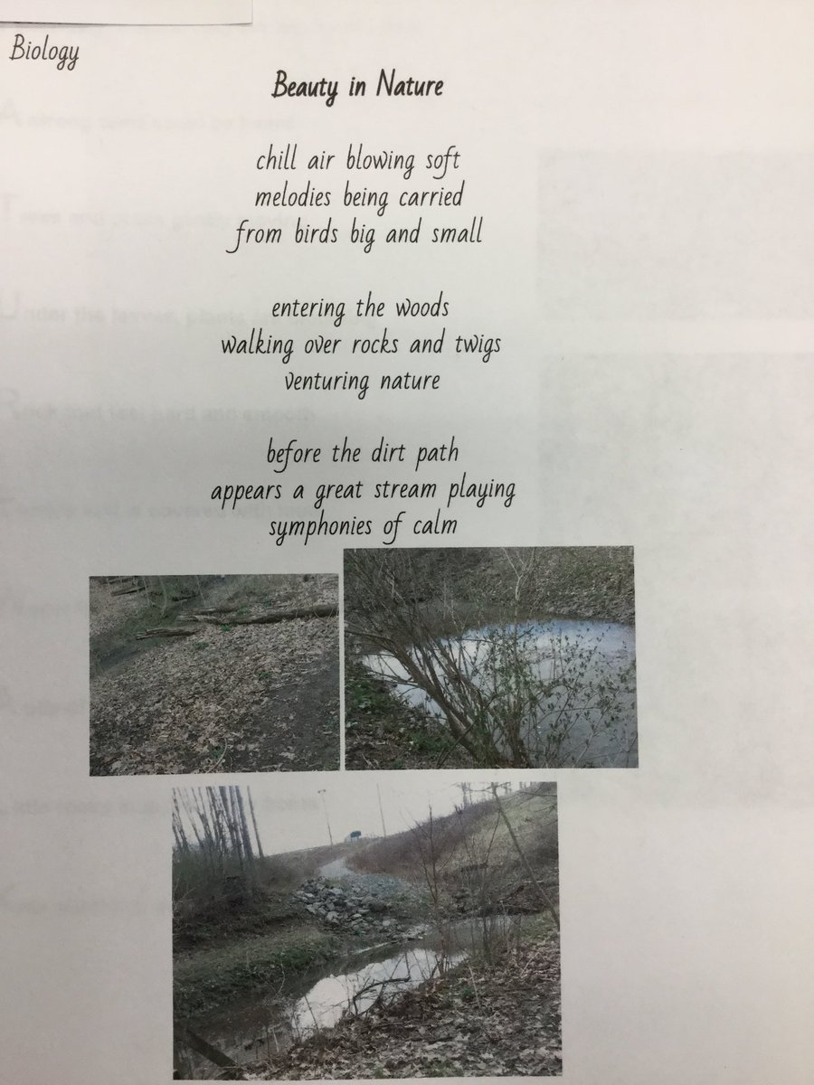 mrsgibson80's tweet photo. Eco Poems written by the students after a walk in the woods. #EarthDay2018 #NASDLearns #biolove https://t.co/wBsMhn2ahy