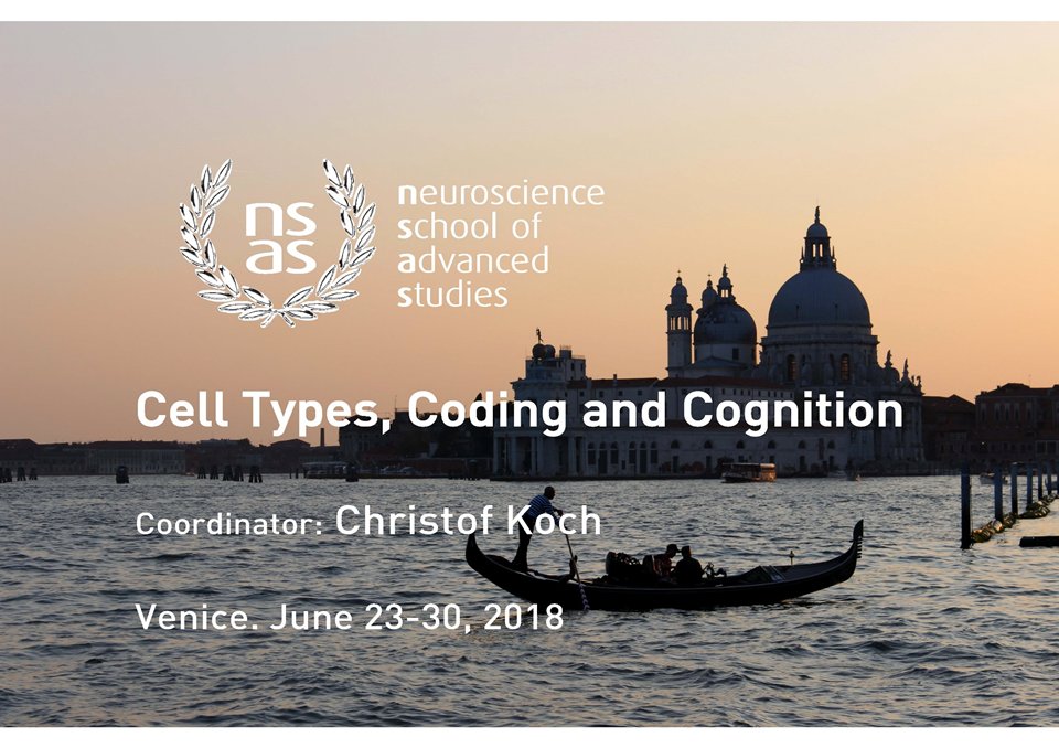 NeuroscienceSAS's tweet photo. Last few seats to deeply understand how single cell technologies applied to cortical cell types help link their activity to behavior and cognition. @AllenInstitute #neuroscience #NeuralConnectivity #BrainCircuit #SingleCellOmics #singlecellRNAseq https://t.co/vIfveLGzol https://t.co/tU6PRPCcaZ