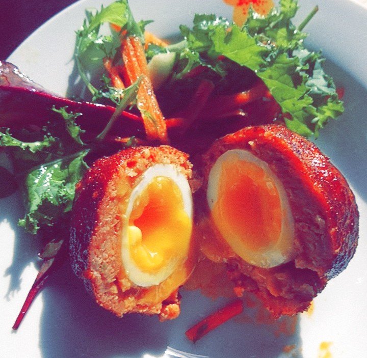 stuvr6's tweet photo. Bbq Scotch eggs, inspired by @devonwoodsmoke, done on the @ProQSmokers smoker. Amazing! https://t.co/Bt8GWhCQRK
