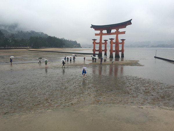 smithsoniansas's tweet photo. A misty morning in #Japan. Have you been here? Comment below what year! #Smithsonianstudentadventures https://t.co/oJgPFEGNtu
