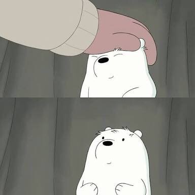 IceBearDiaries's tweet photo. Ice bear will never forget you https://t.co/3FDesTJyPH