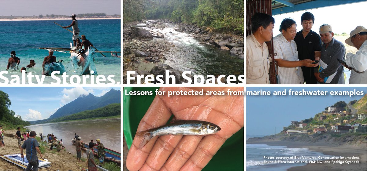 ironloudly's tweet photo. Salty Stories, Fresh Spaces: our latest publication shares lessons from marine &amp; freshwater #protectedareas, describes how marine &amp; freshwater realms can work together: https://t.co/oPFcHZyCH0 w/ @BlueVentures @ConservationOrg @FaunaFloraInt @SJC_fishy @TBTInetwork https://t.co/2R5vtwxgGW