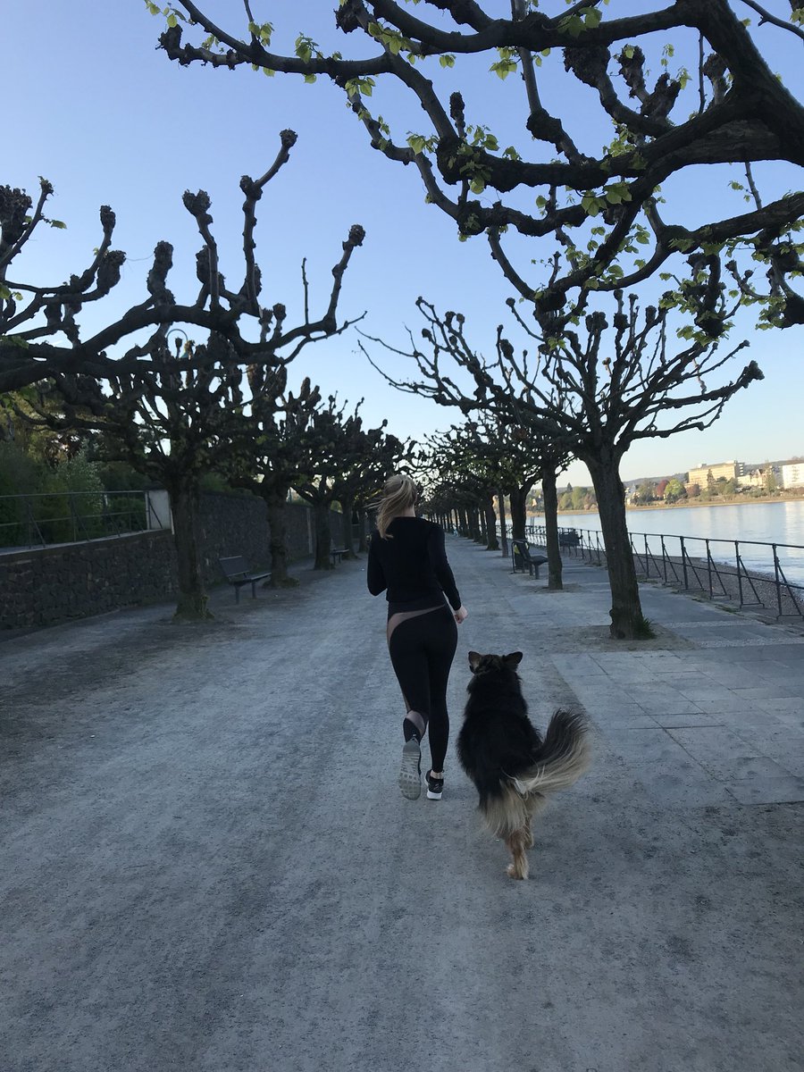 jouneoapp's tweet photo. Spring at its best ☀️🌺🌸🌼Let‘s maximize this great weather and get in shape for the summer. #motivationmonday #springtime #running #sun #fun #sports #fitness #jouneoapp #jouneo #personalhealthcoaching #startup #life https://t.co/rivHNvBE79