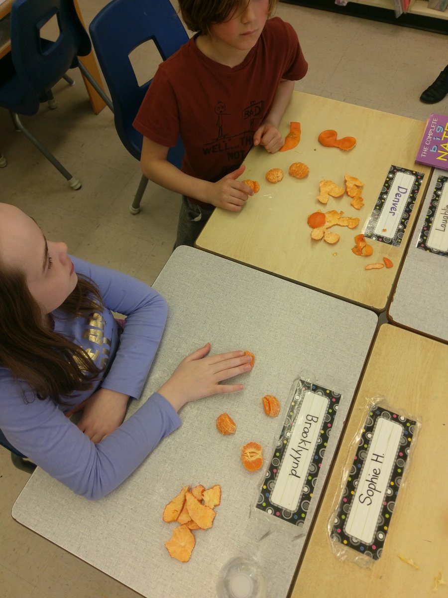 SteveGriff9's tweet photo. Delicious learning in Mrs. Miller's class @McNab_PS .  Fractions with a side of data management. "Orange you glad we're learning fractions?" - anonymous #RCDSBmath https://t.co/Iy6jxqMf8f