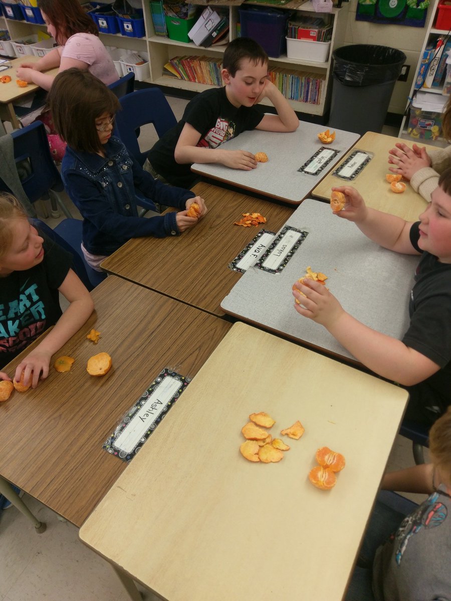 SteveGriff9's tweet photo. Delicious learning in Mrs. Miller's class @McNab_PS .  Fractions with a side of data management. "Orange you glad we're learning fractions?" - anonymous #RCDSBmath https://t.co/Iy6jxqMf8f