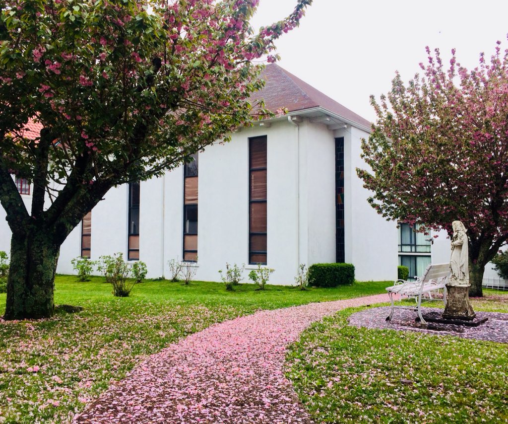 DuBoseTN's tweet photo. Well, it looks like the trees decided that is it (finally!) time for Spring. https://t.co/2UWKBg0XPh