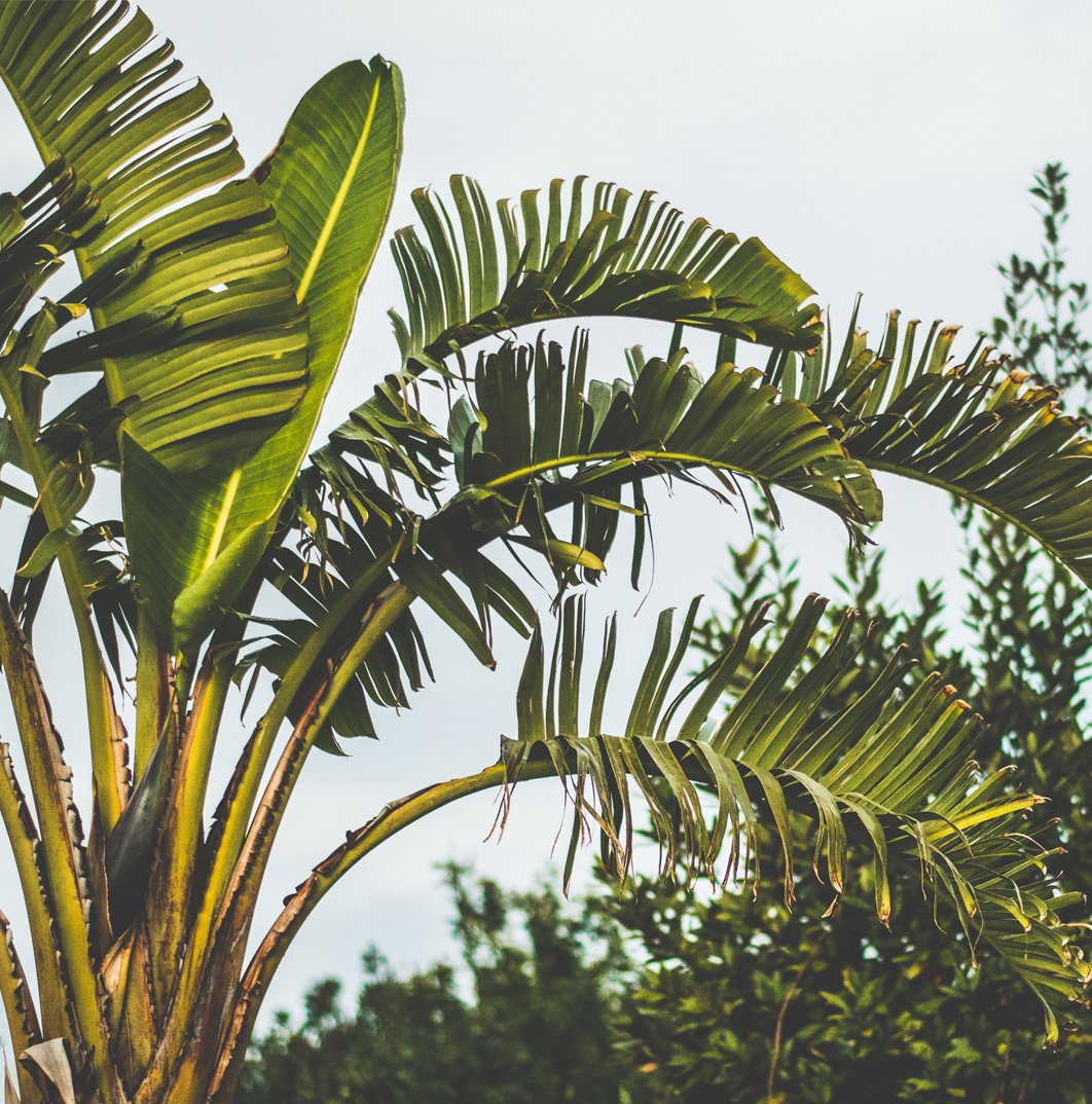 Andre_Assous's tweet photo. Tropical Vibes 🌴 🌴#andreassous #beach #inspiration https://t.co/1GgZP16iEY