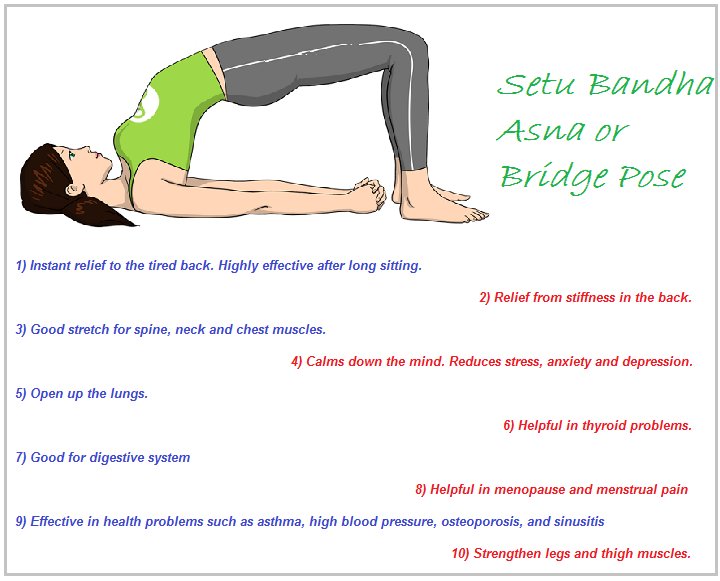 Setu Bandhasana / Bridge Pose (Advance) – Unleash Your Thoughts! –  Yoga365Days