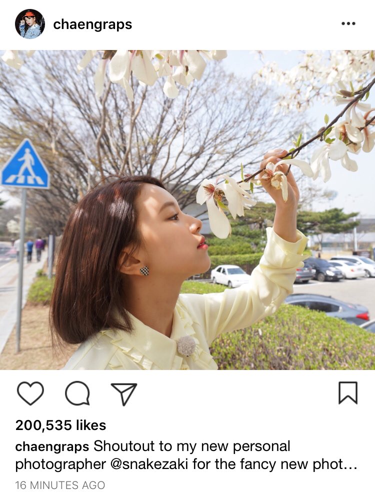 The prettiest flower featuring sleuthing Jeongyeon