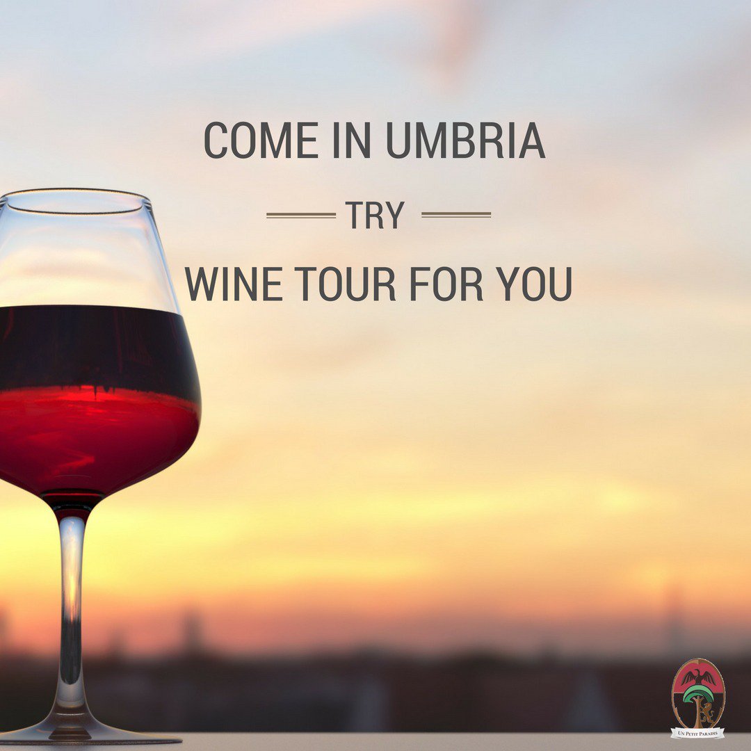 UnPetitParadis's tweet photo. Wine Tour!🍷🍷🍷
#italy #umbria #umbrien #incoming #wine #winelover #redwine #bottle #winetourism #Perugia #Assisi #Castiglionedellavalle #tourism #nature #spring #sunny #spa #travel #country #green #relax #love #loveumbria #madewithlove #madeinumbria #2K18 #unpetitparadis https://t.co/fDB1CDgcpI