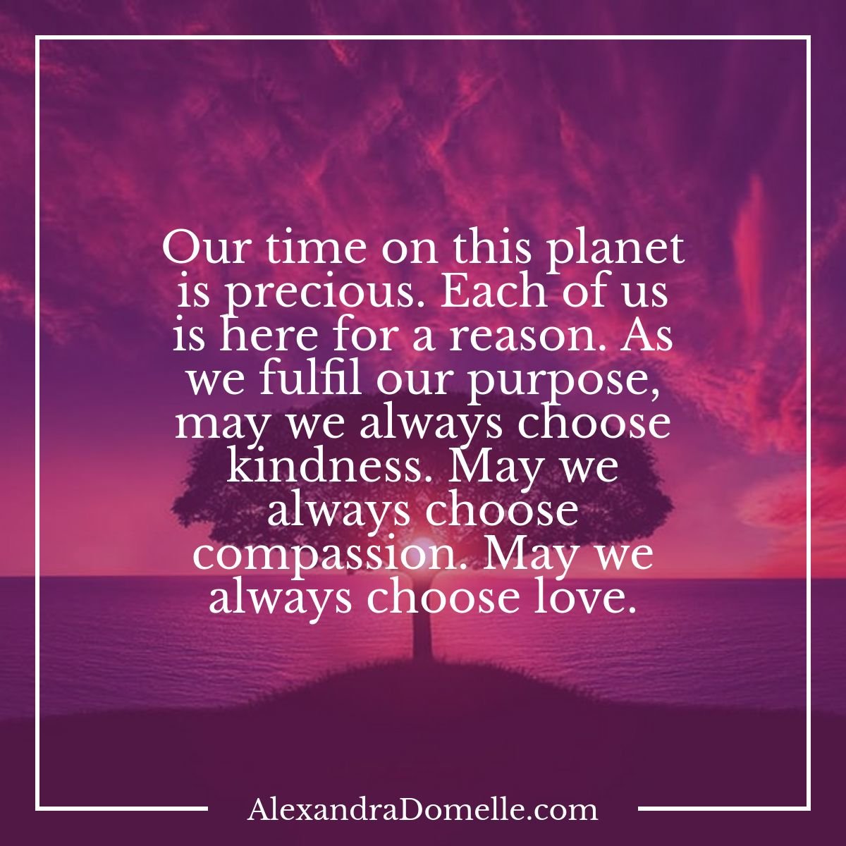 Mindful Moment tweet media