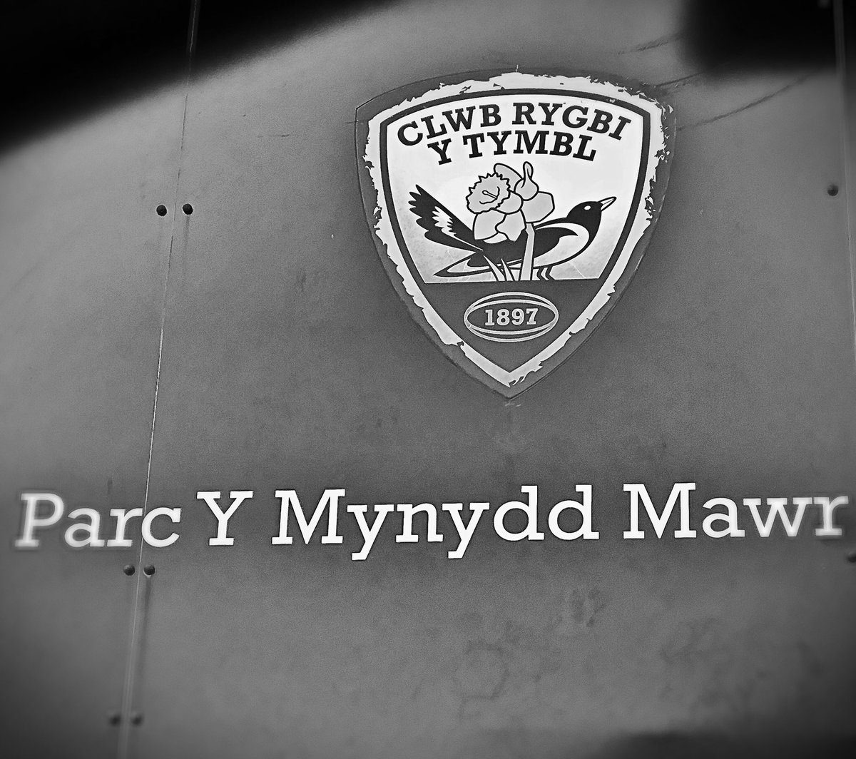 YPiodPinc's tweet photo. ⚫⚪🌸 @YPiodPinc ⚫⚪🌸🏉 Cobra  🏆 Bowl quarter finals📆Sunday⏰2:30📍Parc y Mynydd Mawr  ⚫️⚪🌸 https://t.co/saKfSOfPsW