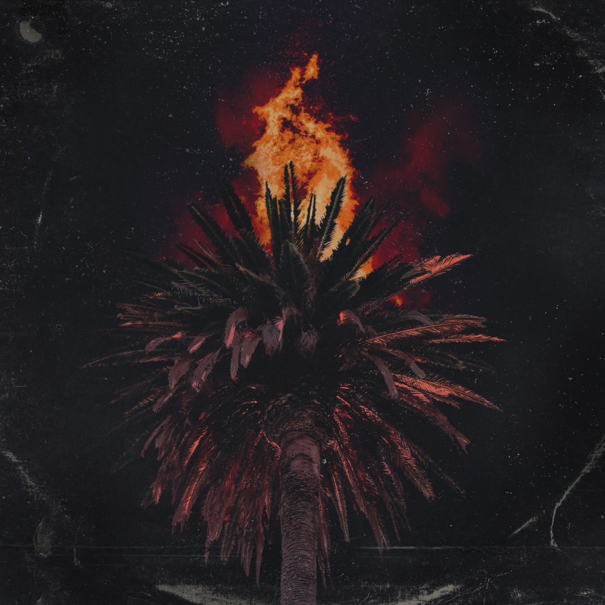Kalla_design's tweet photo. Everything 🔥🔥🔥
#GraphicDesign #illustration #palm #fire #collage https://t.co/4g1fjrsTc1