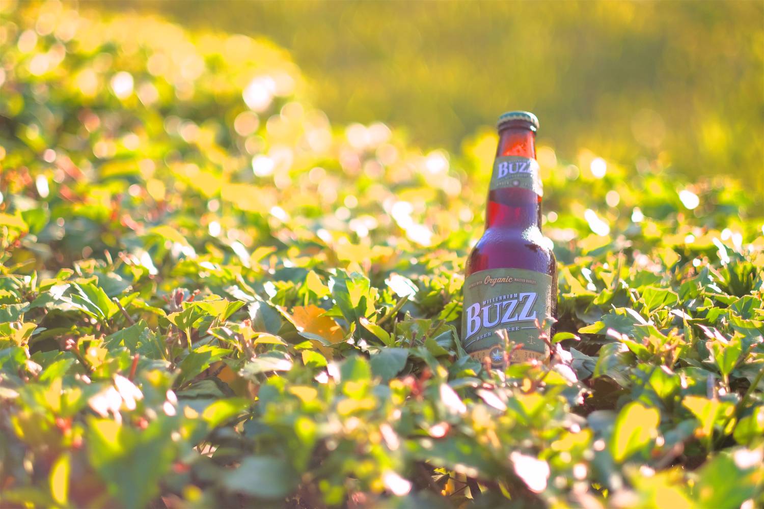 Cool Beer Brewing Co. on Twitter "Good luck to all those of you who