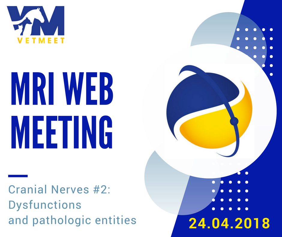 VetMeet's tweet photo. Another great evening awaits you tomorrow with our #MRIwebMeeeting.  CLICK in SYNC with us or STREAM it whenever you like. Look here for more https://t.co/Pf1dtAQHnA  #VetMeet #VeterinaryRadiology #VeterinaryImaging #VeterinaryMRI #TeamRadio #TeamNeuro https://t.co/fOygkpjiwL