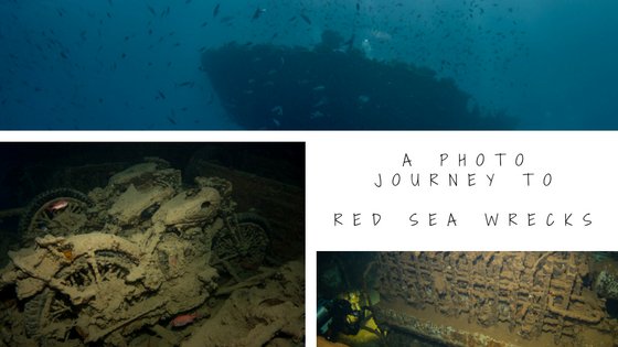 morefundiving's tweet photo. A photo journey to the wrecks of the northern Red Sea https://t.co/MMXJKFw6JU #scuba https://t.co/6w9I5Xd1UB