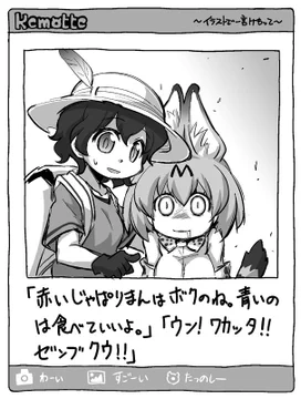 画像 / Picture