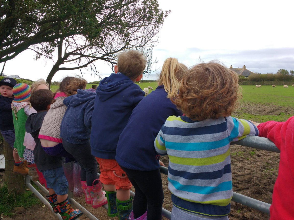 grassfedsheep's tweet photo. Great gate climbing from Little Lizards Nursery today #outdoorlearning #Cornwall #Farmingmagic https://t.co/PYWnL2fxdK