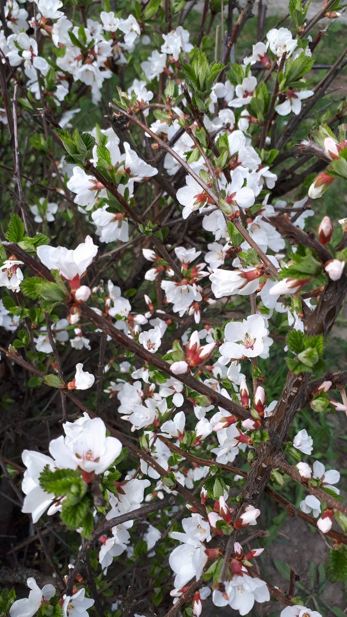 VaSko_vasilina's tweet image. #frantasticmonday