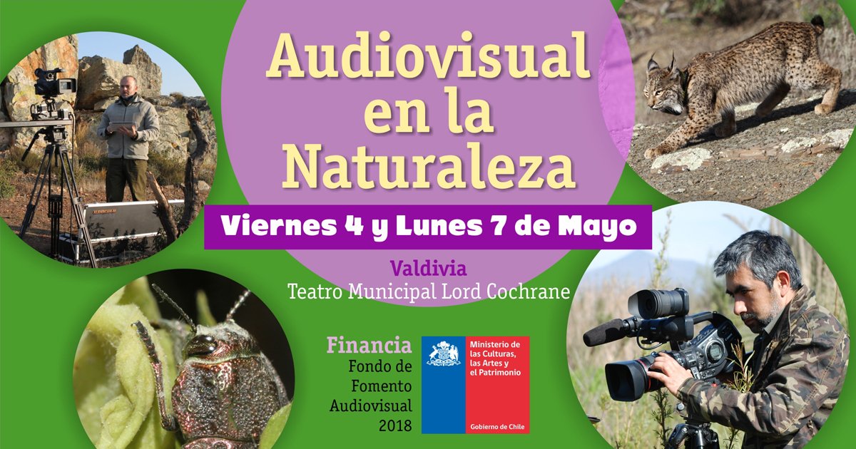 EscuelaTrasfoco's tweet photo. Inauguración del Proyecto: Técnicas y nuevas tecnologías para la  realización audiovisual en la naturaleza. Ponencia "Ecosistemas en  Chile. Flora y Fauna Chilena" y Proyección de la película documental  "Wilmed: el último bosque mediterráneo". Viernes 4 de 16:00 a 20:00. https://t.co/1FNgAcvmAx