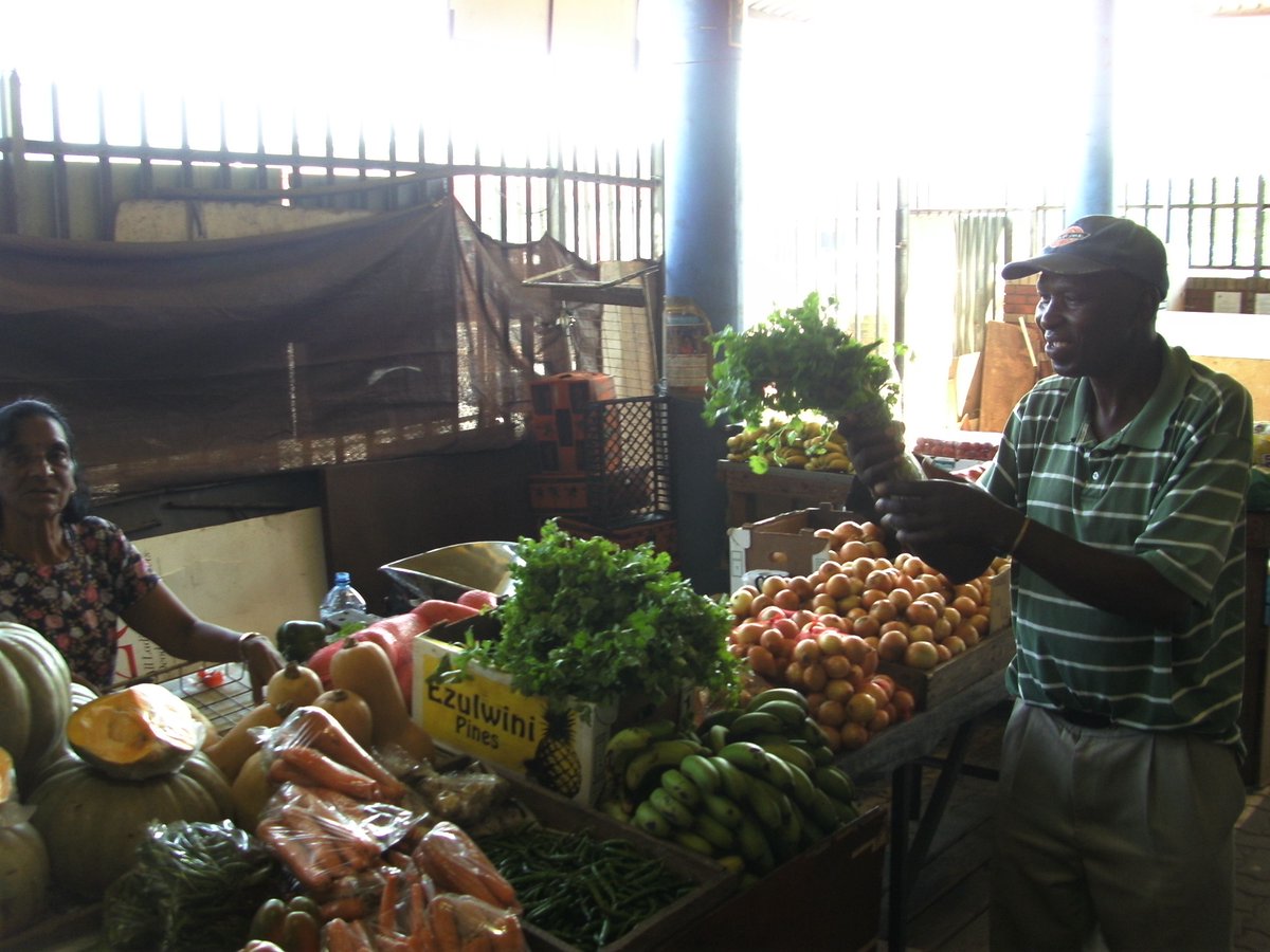 ftfa's tweet photo. Farmers from Kuhle Konke farm in Klaarwater, eThekwini, harvested and sold their first batch of herbs to local markets. A variety of herbs have been planted at sites to meet niche-market demands. #WhatDevelopmentLooksLike https://t.co/o7VAO4zJd5
