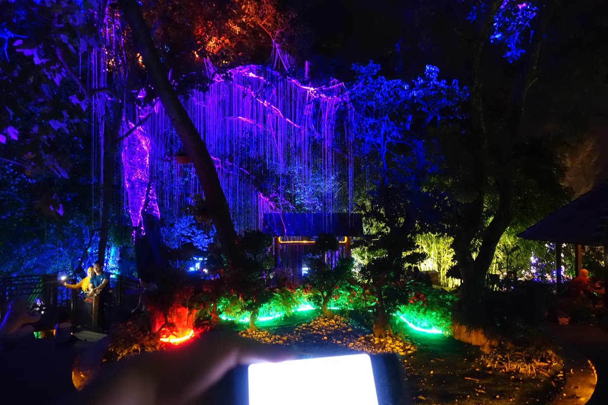 sky_wei7's tweet photo. I'm late but #ChaengDay #HappyChaeyoungDay
Penang Avatar Secret Garden, Malaysia :D https://t.co/jB2BaM2hbi