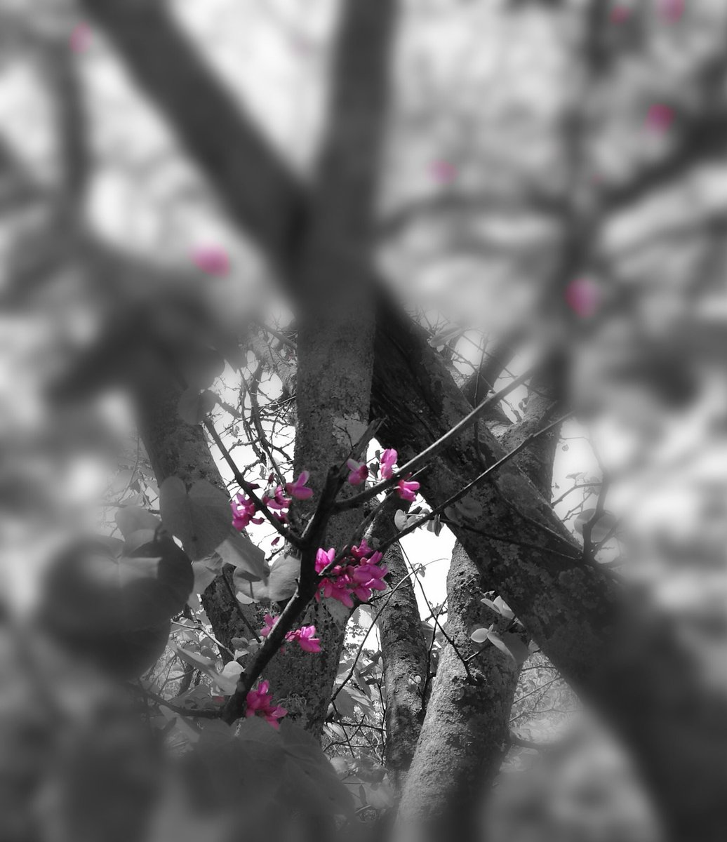 daniela_mauceri's tweet photo. #ProvoA colorare
i momenti della giornata...
anche quelli più scuri
#unTemaAlGiorno https://t.co/wcawKUXZiw