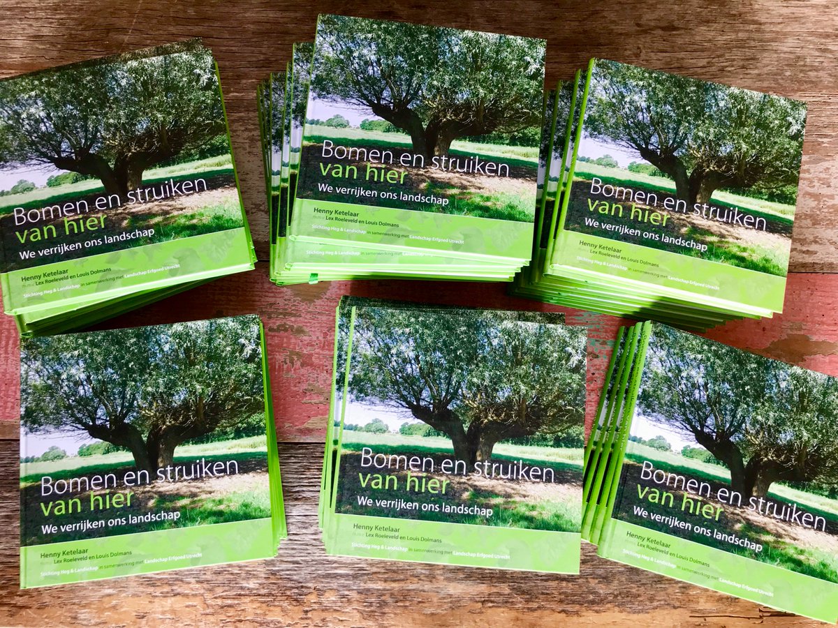 <a href="/DeHeliant/">Kwekerij De Heliant</a> @FLORONNederland De bloesem van de wilde peer (pyrus pyrster) is prachtig! #bomenvanhier #bronnen #biodiversiteit #coderood