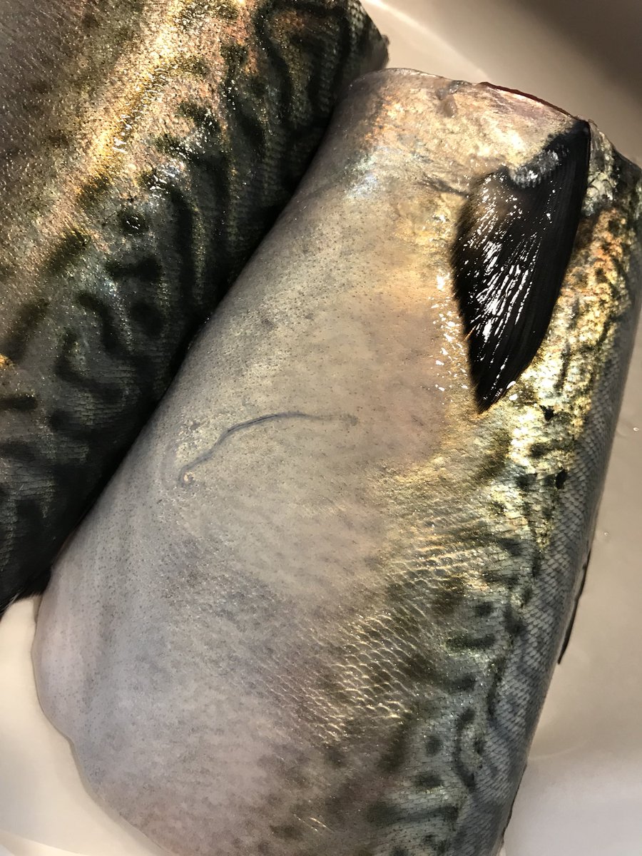 8b B5 Ad B9 E7 97 87 Trsene V Twitter