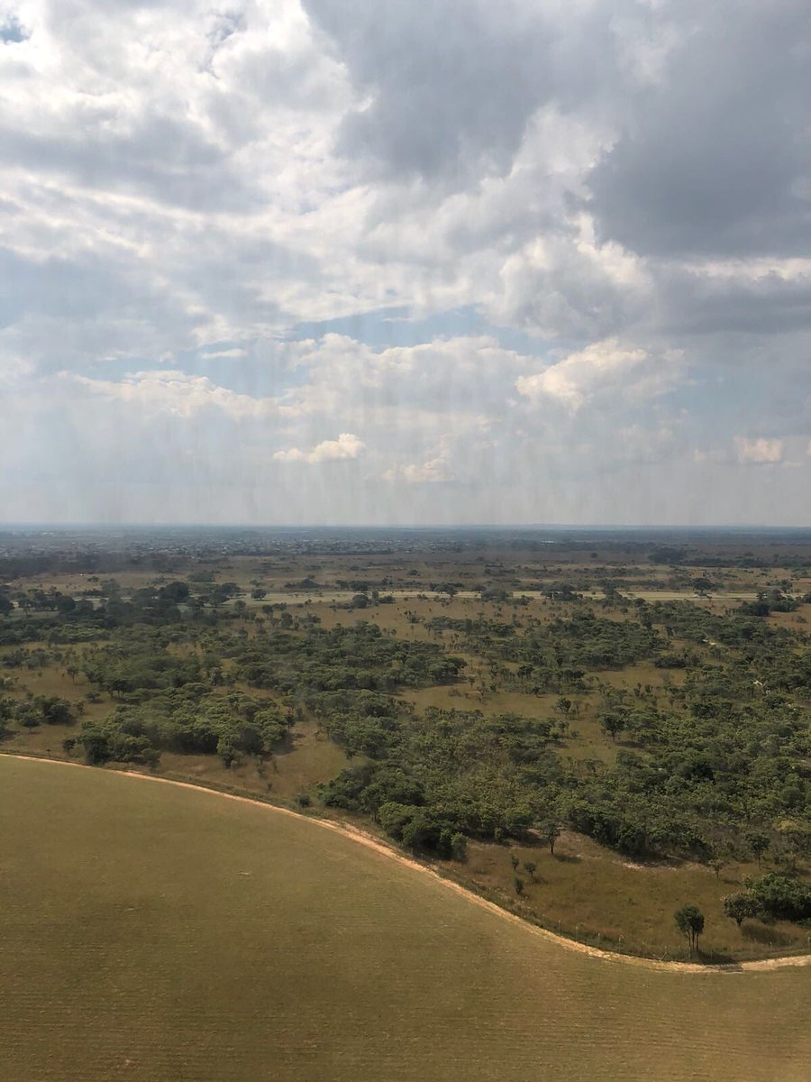 Very happy to be in Zambia 🇿🇲 working with the <a href="/rogerfedererfdn/">Roger Federer Foundation</a>. It’s my first time here!