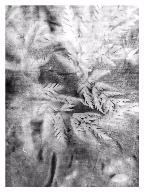Janeh271's tweet photo. experimented quickly with the #dyenaflow paint - think it will work for #outdoor day or #greenacre18 @ceritiplady13 - potential to play here - @Mrs_H11 @LouiseClazey https://t.co/5o9ch2jhD4 https://t.co/NjfaF1PZtJ