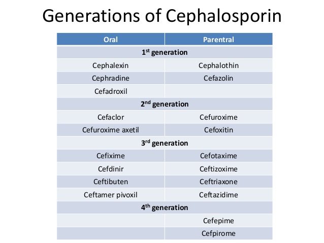 PharmaConnect Twitter: "Which of the following drugs a cephalosporin? / Twitter