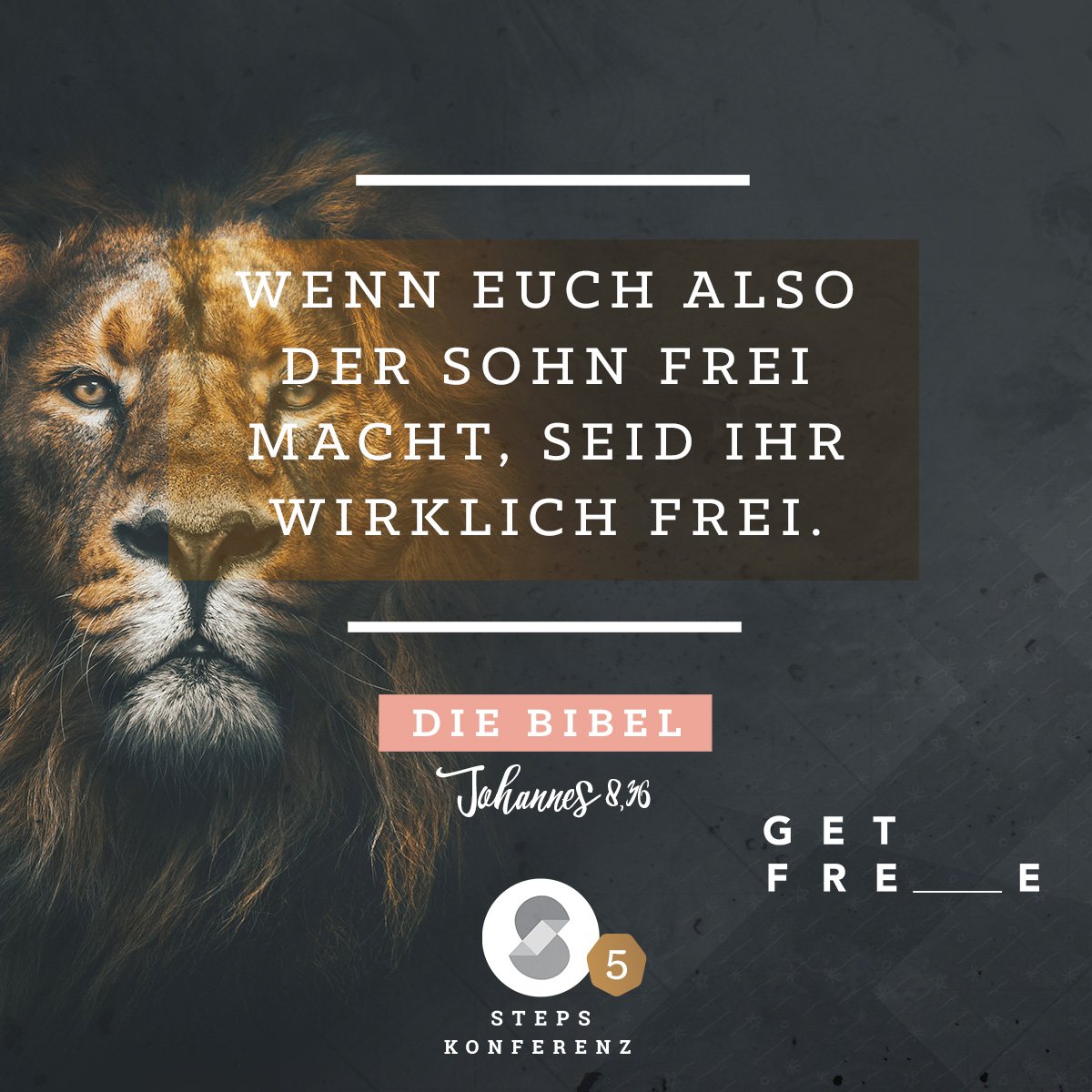 _365STEPS's tweet photo. Wenn euch also der Sohn frei macht, seid ihr wirklich frei. - Johannes 8,36
Wer ein befreites Leben mit Jesus Christus lebt, der muss nicht mehr tun, was er nicht will. Er kann tun, was Gott möchte und ist frei.
#steps365 #stepsk18 #freiheit #bibel #zitat #jesus #gott #glaube https://t.co/XSkkvYbjuU